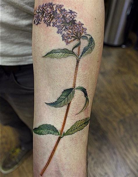 butterfly bush tattoo